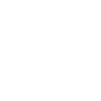 UGLY HALF BEER